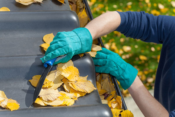 roof cleaning gutters