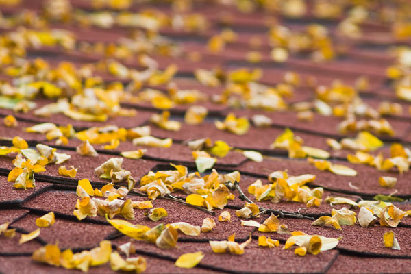 roof repair autumn