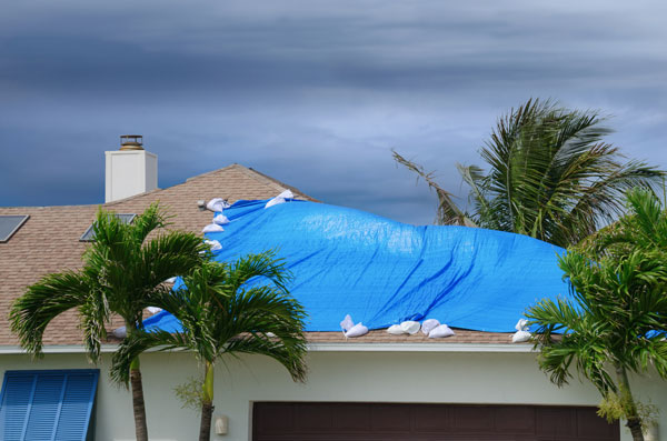 roof leak tarp
